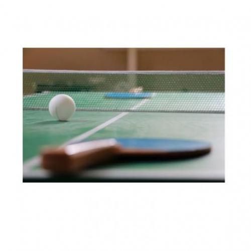 Quality Table Tennis Ball- 6 Pcs Item | Buy Quality Table Tennis Ball- 6 Pcs | SPOP Enterprise Global